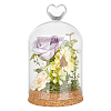 Glass Dome Cover AJEW-WH0604-68V-1