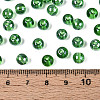 Transparent Glass Seed Beads SEED-N007-33B-08-4
