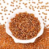Picasso Baking Paint Glass Seed Beads SEED-N007-37J-2