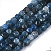 Natural Apatite Beads Strands G-N328-031-1