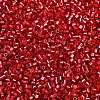 Baking Paint Silver Lined Glass Seed Beads SEED-H003-09C-2