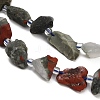 Natural African Bloodstone Beads Strands GG-CBA0B77-A09-03-3