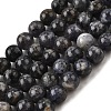 Natural Iolite Beads Strands G-E561-16-10mm-2