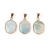 Natural Flower Amazonite Pendants G-N349-04D-G-1