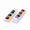 Chakra Natural Selenite Display Decorations G-G973-10-5