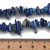 Natural Lapis Lazuli Chip Beads Strands X-G-E271-121-2