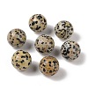 Natural Dalmatian Jasper No Hole Sphere Beads G-K353-04D-16-1