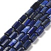 Natural Lapis Lazuli Beads Strands G-N327-06-13-1