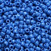 TOHO 6/0 Round Beads X-SEED-TR06-0043D-4