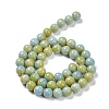 Glass Round Beads Strands GLAA-M044-01C-4