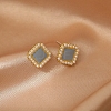 Alloy Enamel Earrings for Women FS-WG85681-41-1