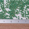 MIYUKI Delica Beads Small SEED-X0054-DBS0877-4