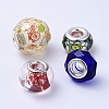 Glass & Resin European Beads GPDL-XCP0001-01S-2