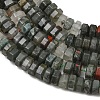 Natural African Bloodstone Beads Strands G-G317-A29-3X6MM-5