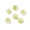Glass Beads GLAA-D303-04C-1