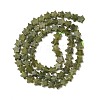 Natural Chinese Jade Beads Strands G-H087-C04-01-3