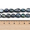 Natural Cultured Freshwater Pearl Beads Strands PEAR-P064-20K-05D-5