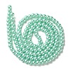 Dyed Glass Pearl Round Beads Strands HY-X0001-01-2
