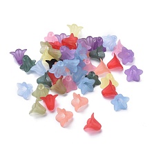 Mixed Color Transparent Acrylic Frosted Flower Beads X-PLF018