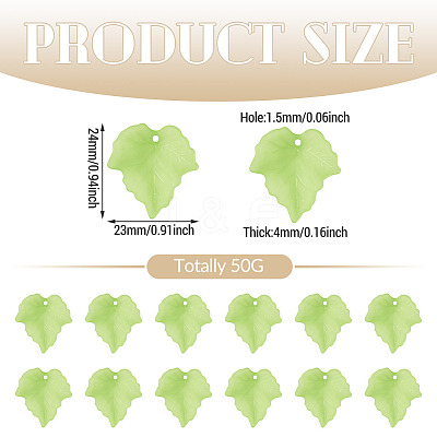 50G Frosted Acrylic Pendants FACR-TADJ0001-01A-1