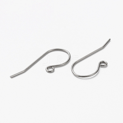 Tarnish Resistant 304 Stainless Steel Earring Hooks LS-X-STAS-L253-004P-1