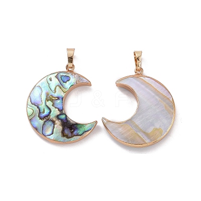 Natural Abalone Shell/Paua Shell Pendants SSHEL-L019-08G-1