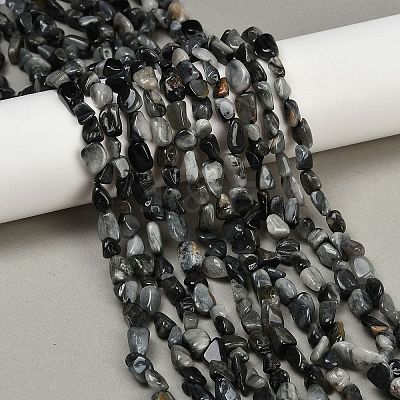 Natural Eagle Eye Stone Beads Strands G-Q060-D06-1