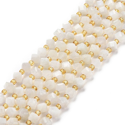 Natural White Moonstone Beads Strands G-P463-16-1