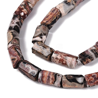 Natural Leopard Skin Jasper Beads Strands GG-N002-01A-12-1