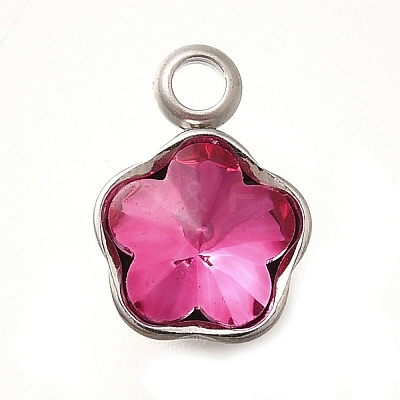 304 Stainless Steel Pendants STAS-Q346-02P-09-1