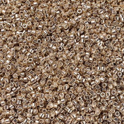 MIYUKI Delica Beads X-SEED-J020-DB0411-1