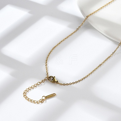 304 Stainless Steel Cable Chains Necklace for Men Women NJEW-N050-A03-G15-1