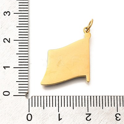 Pride 304 Stainless Steel Enamel Pendants LS-STAS-B079-01G-08-1