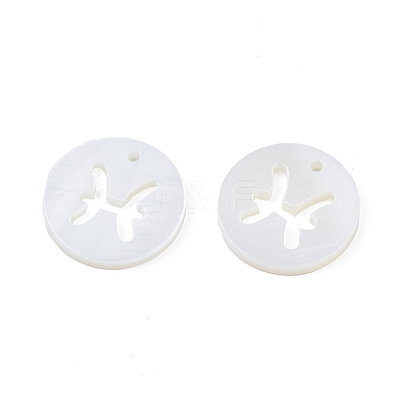 Natural Freshwater Shell Charms SHEL-N027-10I-1