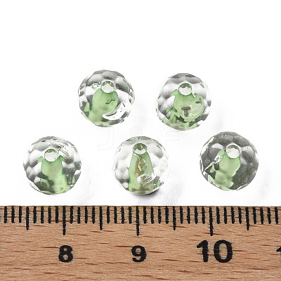 Transparent Acrylic Beads LS-MACR-S373-133-T03-1
