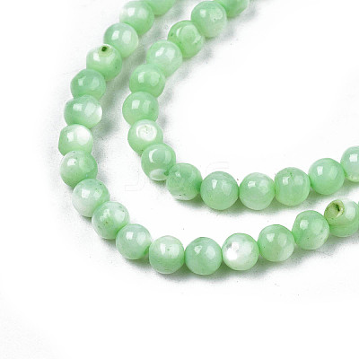 Natural Freshwater Shell Beads Strands X-SHEL-N003-24-B03-1