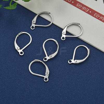 Tarnish Resistant 304 Stainless Steel Leverback Earring Findings STAS-E007-3-1