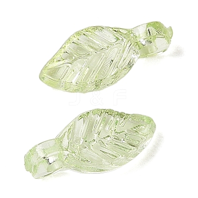 Transparent Acrylic Charms X-TACR-F009-11B-1