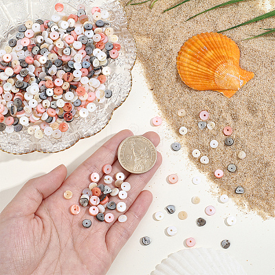 4 Strands 4 Colors Natural Shell Beads Strands SSHEL-PA0001-04-1