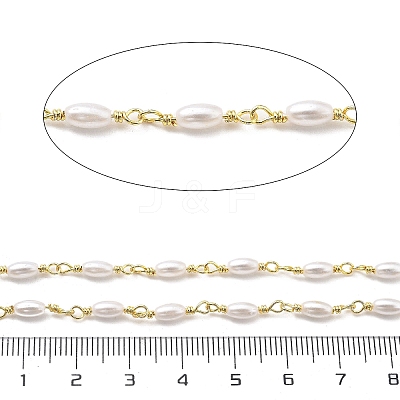 Brass & ABS Plastic Pearl Oval Link Chains CHC-G024-10G-1