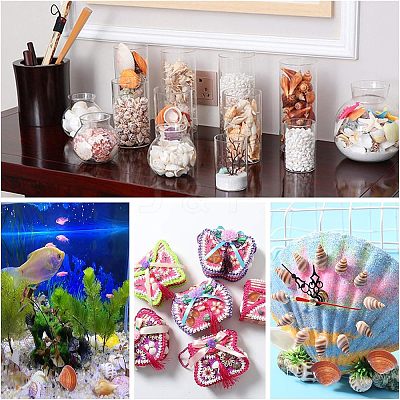 Clam Shell Beads SSHEL-NB0001-11-1