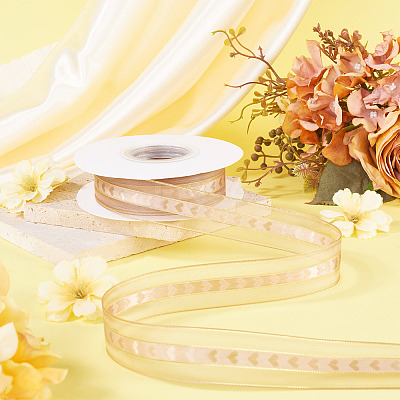 Polyester Lace Ribbon OCOR-TADJ0001-07F-1