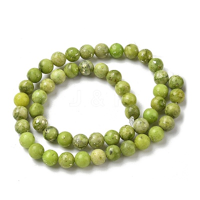 Dyed Natural Dolomite Beads Strands G-D337-8mm-D04-1