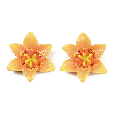 Opaque Resin Decoden Cabochons CRES-D328-03-1