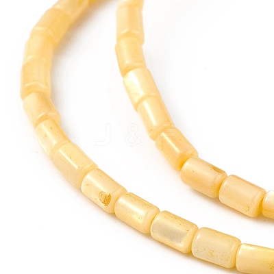 Natural Freshwater Shell Dyed Beads Strands X-SHEL-M018-12-01-1