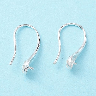 925 Sterling Silver Earring Hooks STER-P047-02S-1