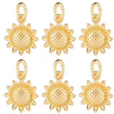 16Pcs Rack Plating Eco-Friendly Brass Pendants KK-BBC0023-09-1