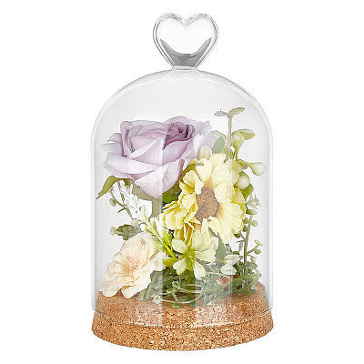 Glass Dome Cover AJEW-WH0604-68V-1