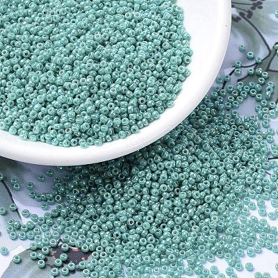 MIYUKI Round Rocailles Beads SEED-G007-RR0481-1