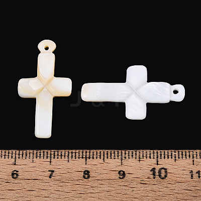 Natural Freshwater Shell Pendants SHEL-N038-08-1